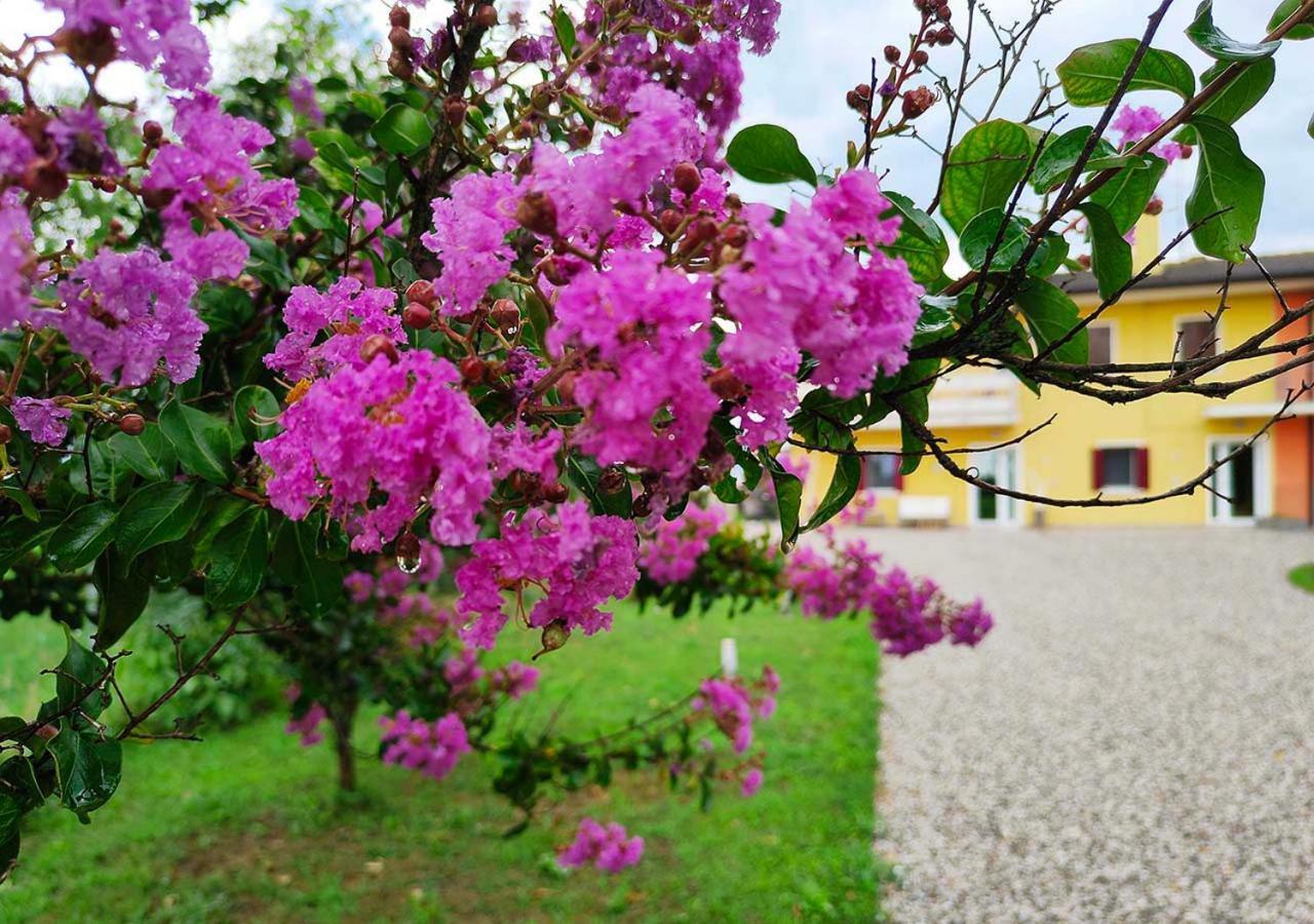 Yard 151 Apartment Noventa di Piave Exterior photo