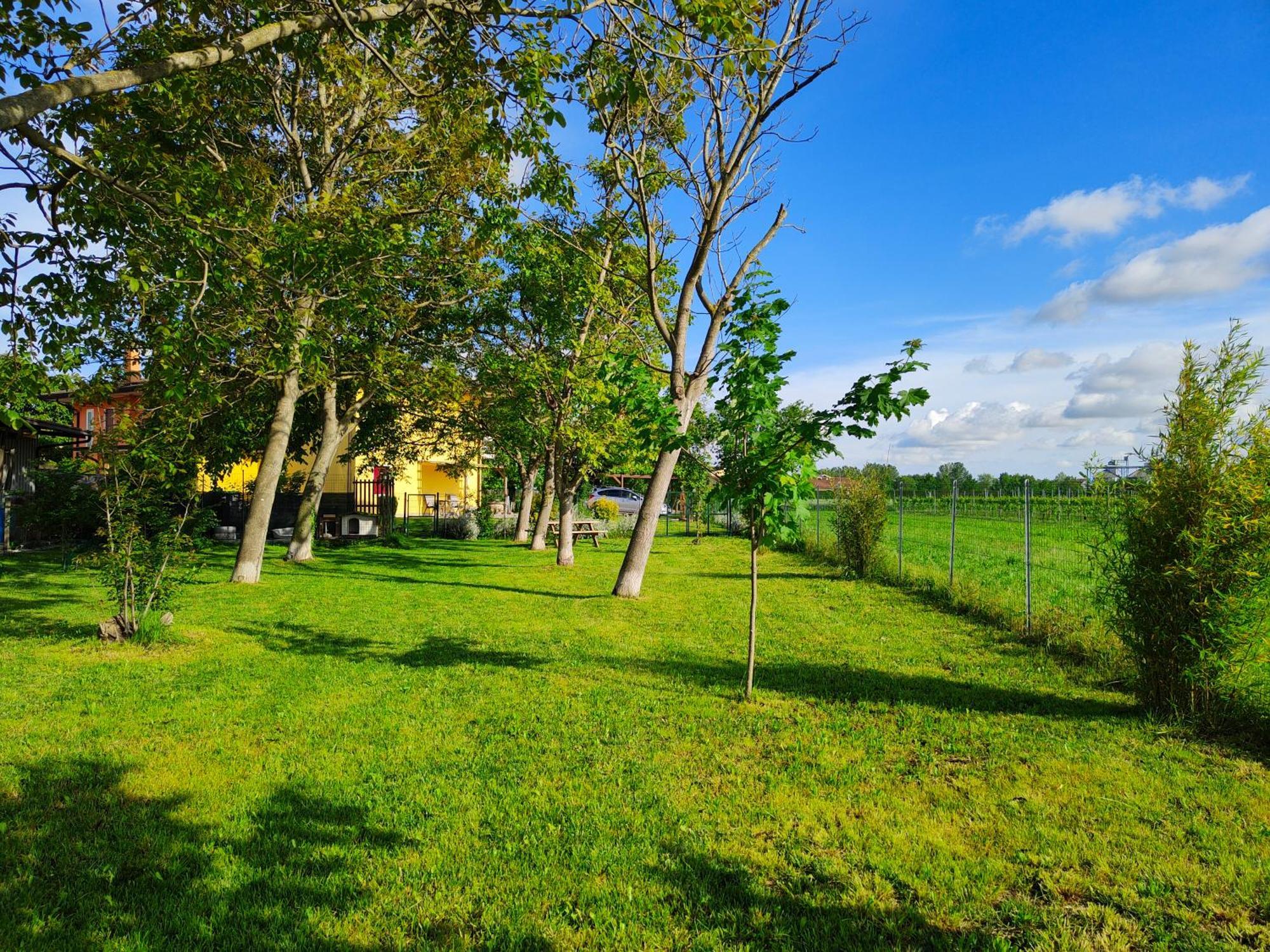 Yard 151 Apartment Noventa di Piave Exterior photo